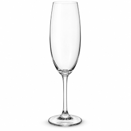 Taça para Champanhe Gastro 220 ml
