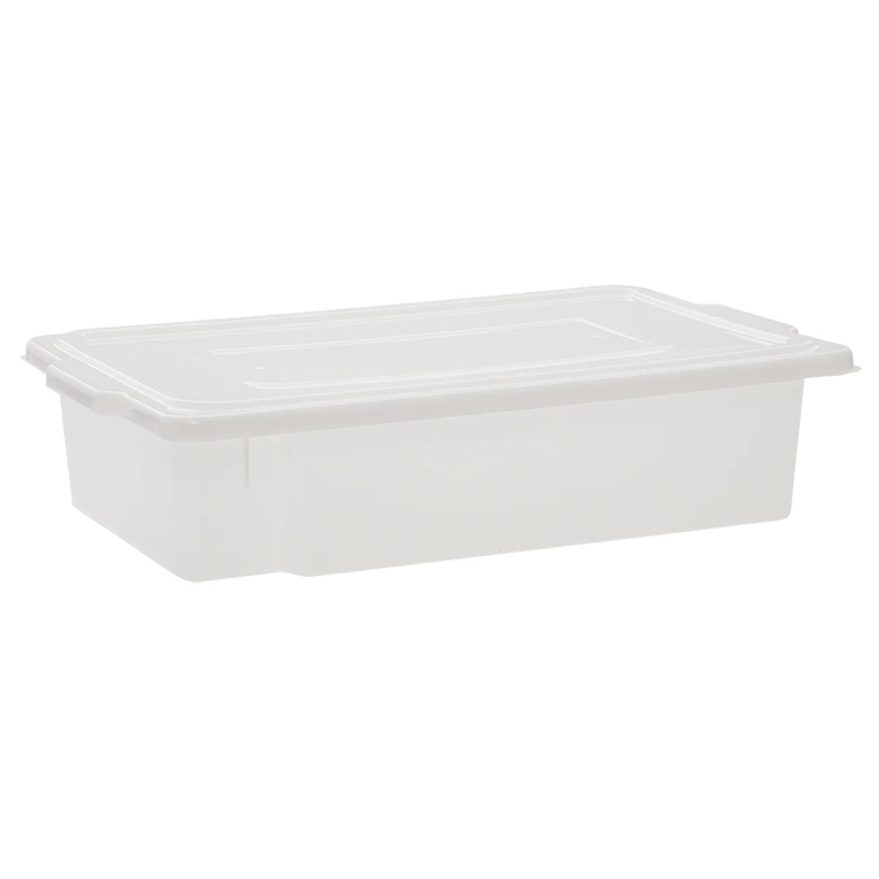 Caixa com Tampa Pro 30l